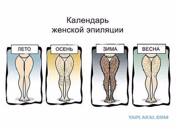 Картинки из сети