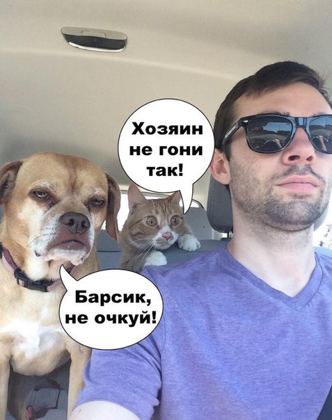 Картинки разные 2