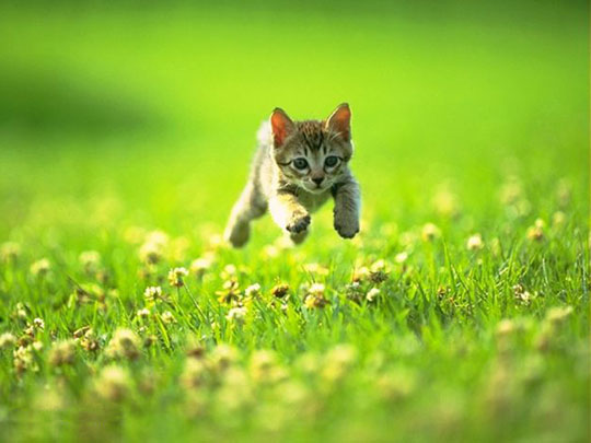 Подборка картинок 24.02.16