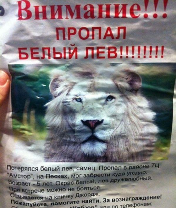 50 приколов по-русски