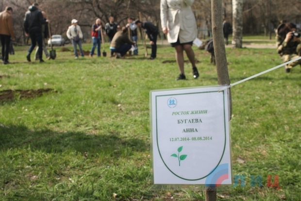 В парке имени Щорса в Луганске высадили аллею в память о погибших детях