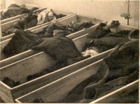Расстрелы