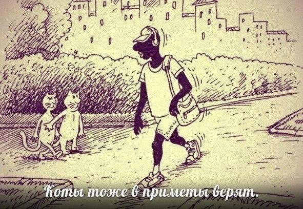 Подборка картинок