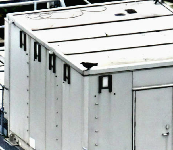 Панорама Лондона или рассмотреть лицо прохожего...