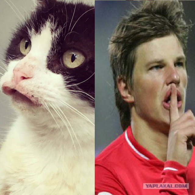 WTF: Что тут происходит?