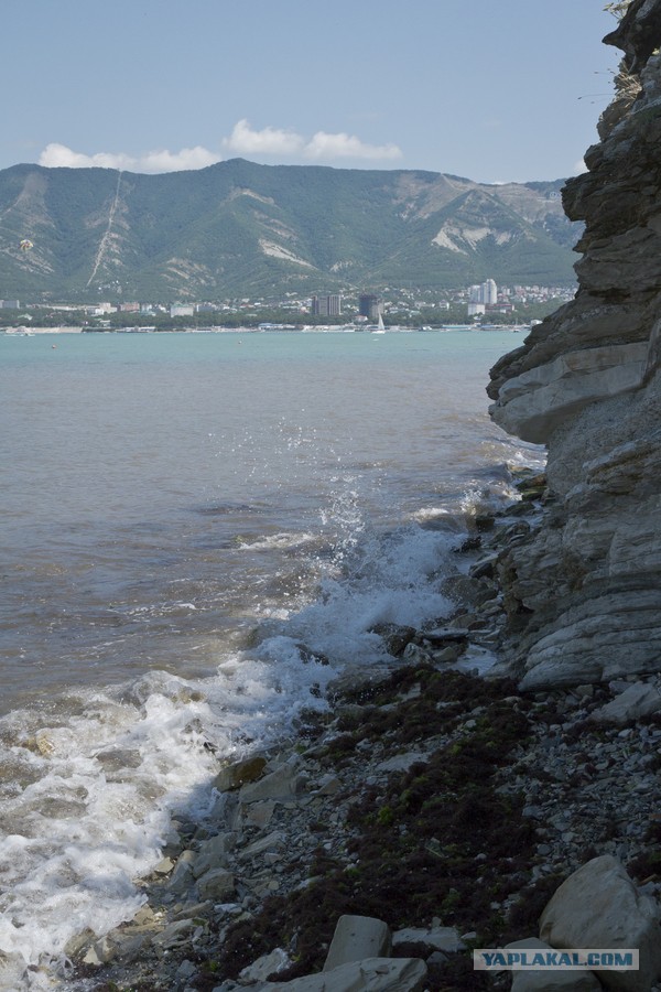 Море. Адлер.
