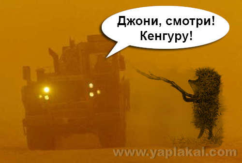 Фотожаба: Буря в Пустыне