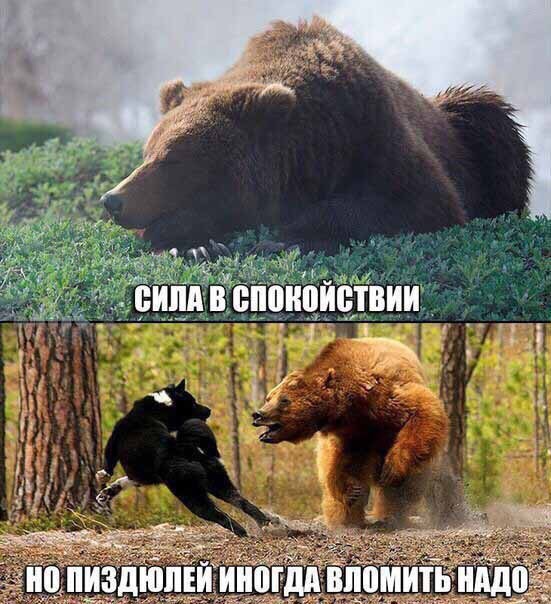 Лидер украинских националистов предсказал распад России в 2017 году