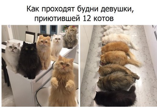 Картинки из интернетов