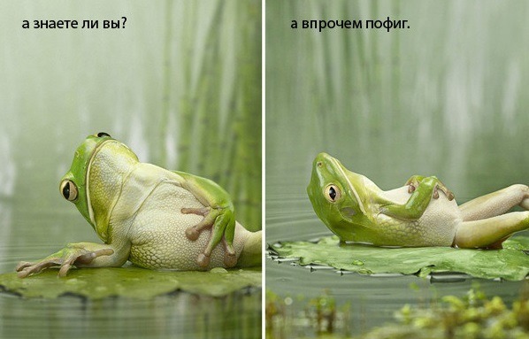 40 фактов в картинках