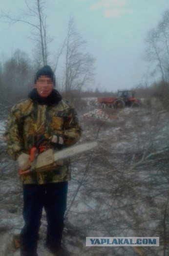 Они приехали за чистым воздухом из мегаполиса, но нашли смерть в деревне... от вышедшего с зоны лесоруба