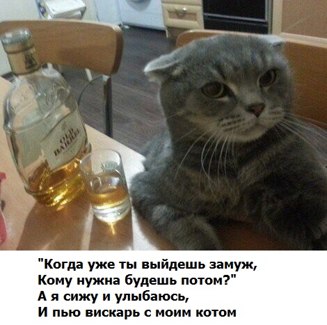 Подборка интересных и веселых картинок