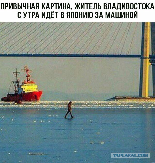 Картинки. Интересные, старые и не очень
