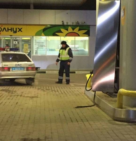 Подборка безудержного веселья