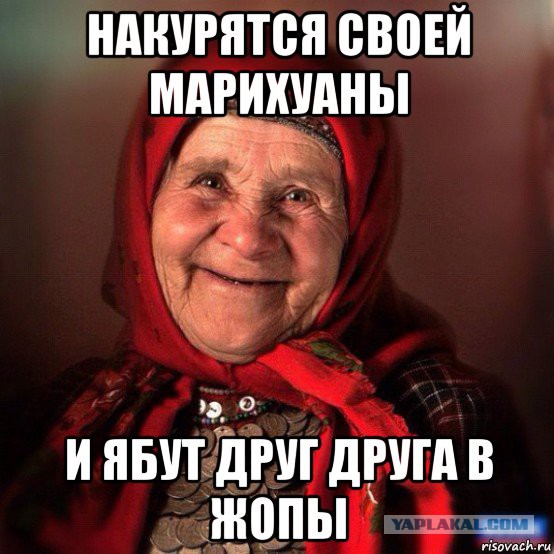 Беседа голландского корреспондента с фермером превратилась в истерику и неудержимый хохот