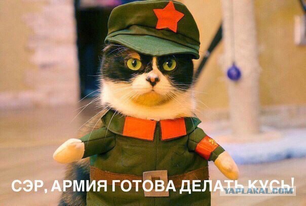 Всмысле сосать это пытка? Щас я тебе все объясню.