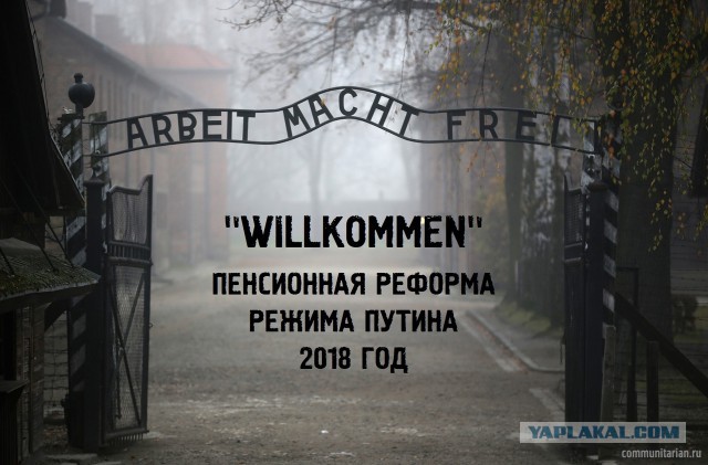 ЦИК принял документы о проведении референдума по пенсионной реформе