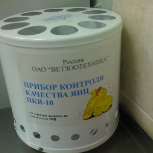 Угадайки