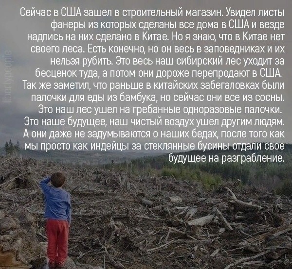 Трамп предложил помощь в тушении пожаров