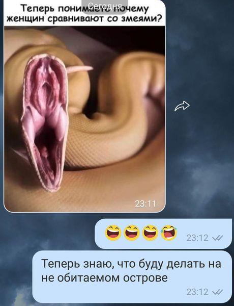 Шли по полю алкаши, или покорми меня гвоздиками, девочка с крыжовником