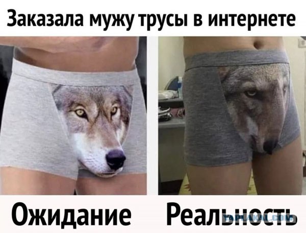 Картинки с надписями и анекдоты