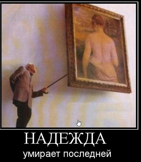В детские сады Тольятти поставляли мясо мертвечины!