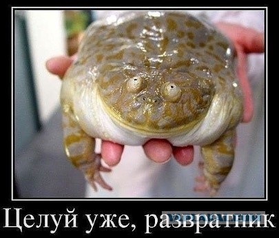 Итак, я женился на РСП