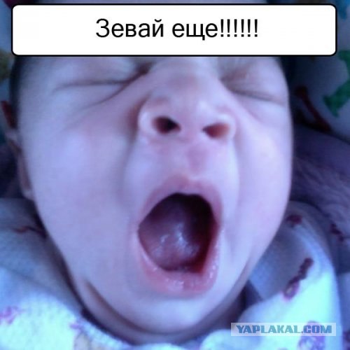 Спорим, зевнешь?))) (28 фото)