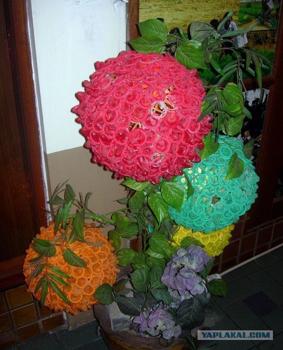 Противозачаточные цветы (5 фото)