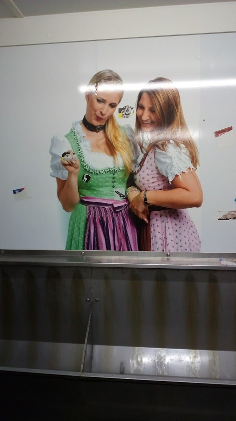 Туалеты мира