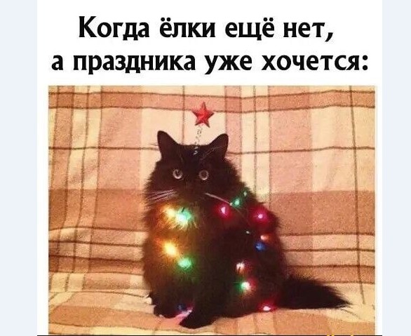 Картинки с надписями и всякие жизненные фразы