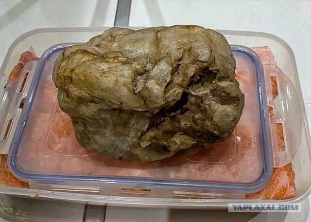 #ДРКулинарии2021 - Перепелки на гриле.