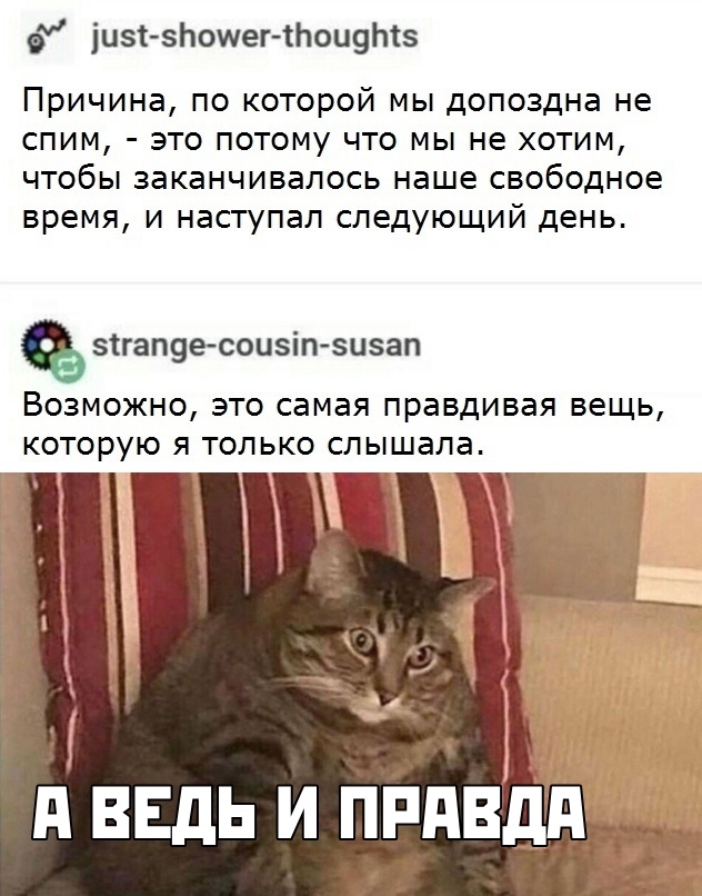 Картинки и мемы для настроения 03.08.2021