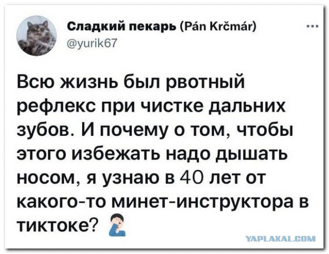 Забавные комментарии из социальных сетей (08.11.21)
