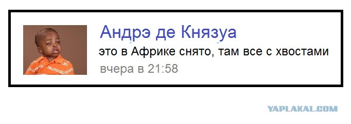 Что Делать Если Я Куколд