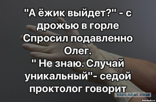 50 оттенков серого! Или самосвал баянов