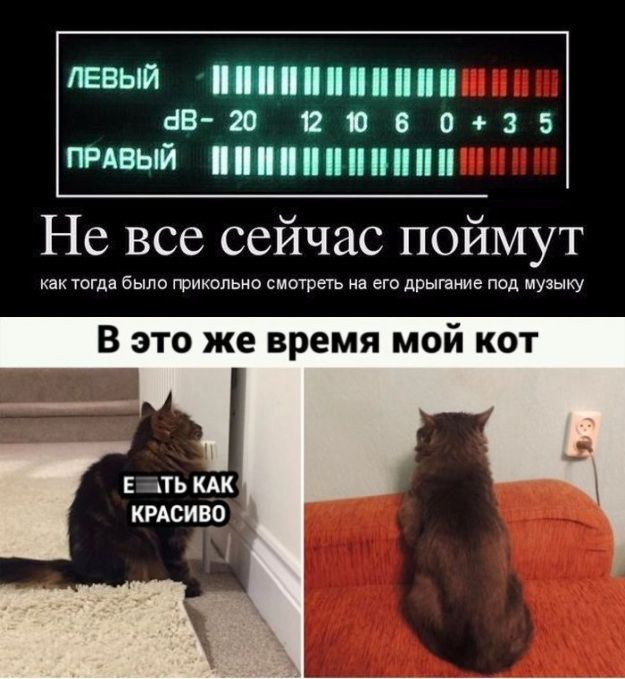 Картинки и мемы для настроения - 19