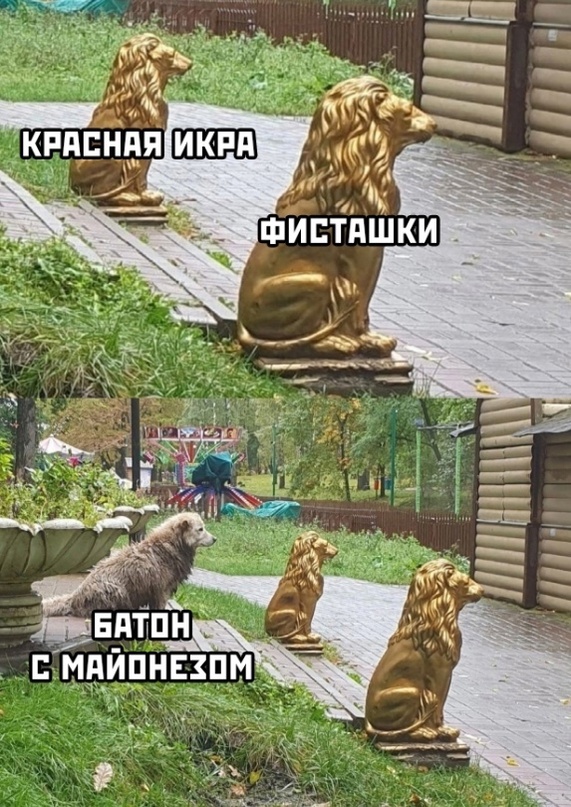 Весёлый полтишок 20.10.22