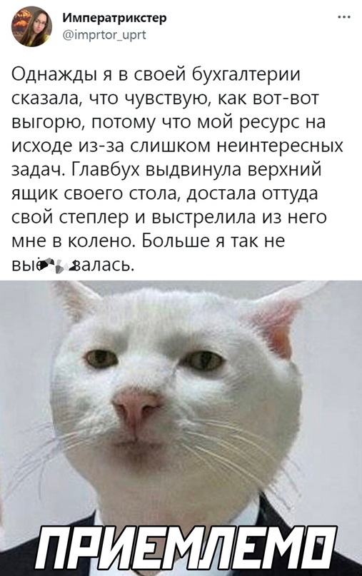 Картинки и мемы для настроения - 125