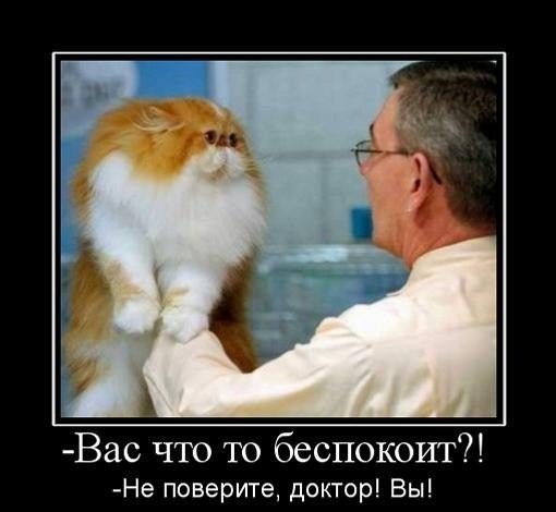 Псто с картинками