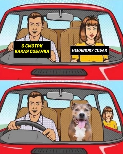Немного картинок для настроения - 161