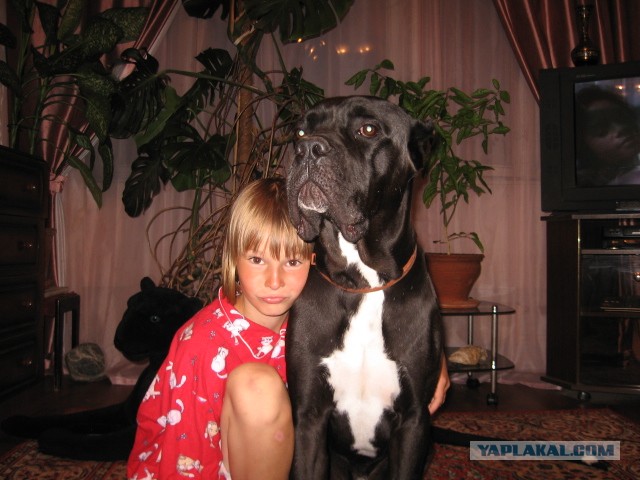 Няшность и ...