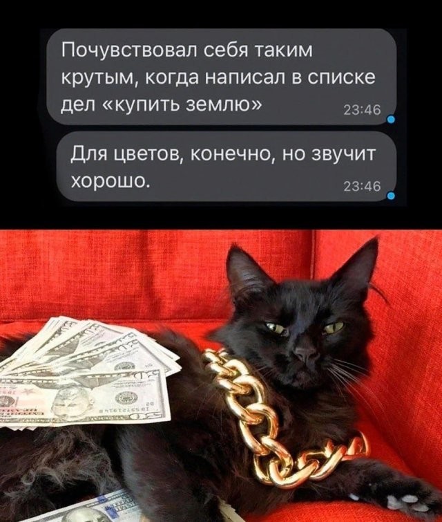 Скриншоты и комментарии из социальных сетей 01.01.24
