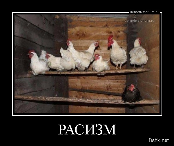 Расизм
