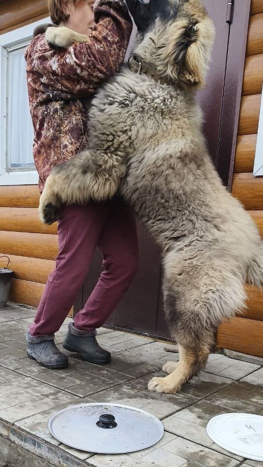 Он не кусается!