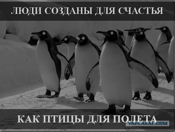 Скатертью скатертью тленный путь стелется...