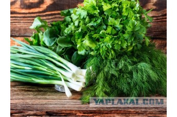 80 лет назад, 28 января 1945 года, погибла Роза Шанина