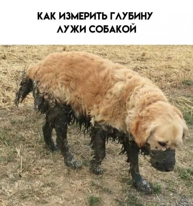 Так себе картинки 04.06.25