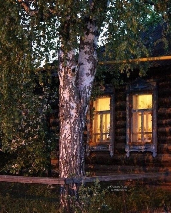 Прикольные и просто красивые картинки 05.08.2025