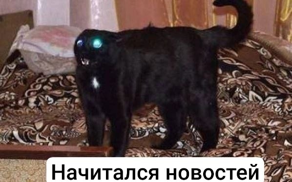 Картинки для деградации 238 (разной степени свежести)